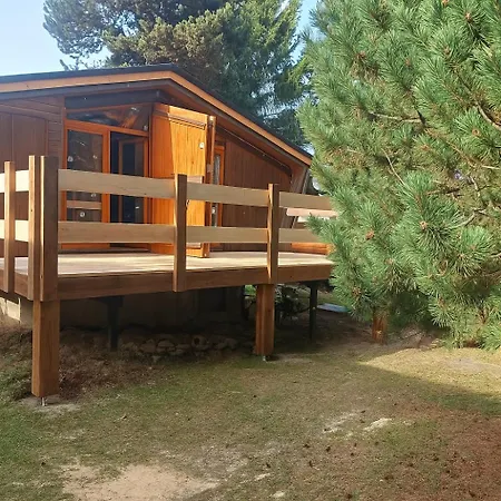 Chalet L'Epicea T3 Sous Les Pins A 5 Min A Pied Des Pistes Et Commerces * Bolquere Pyrenees 2000