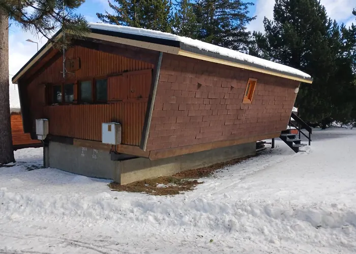 L'epicea T3 Sous Les Pins Avec Terrasse & Jardin A 5 Min A Pied Des Pistes P2 Et Commerces Σαλέ Bolquere Pyrenees 2000