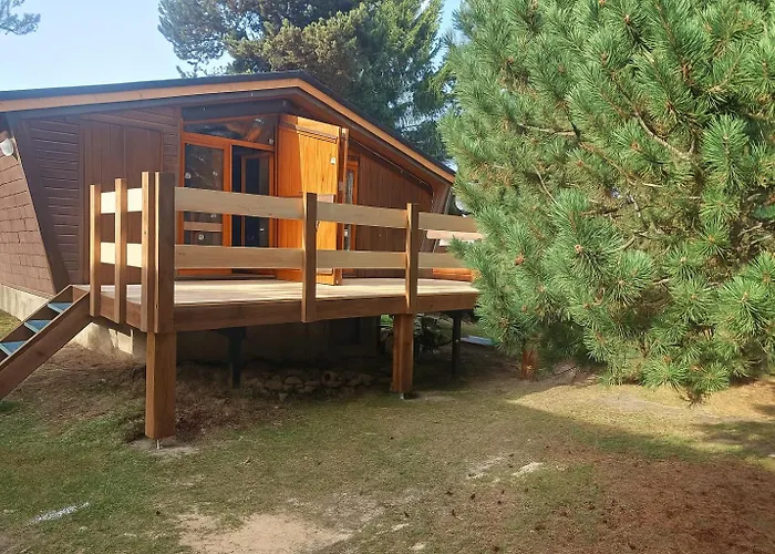 Chalet l'Epicéa T3 sous les pins avec Terrasse&Jardin à 5 min à pied des pistes P2 et commerces * Bolquere Pyrenees 2000